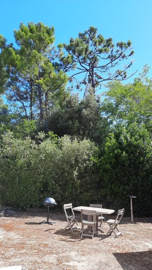 La Foret Des Rossignols - Maison 2 Chambres, Jardin Et Terrasse Saint-Jean-de-Monts Buitenkant foto