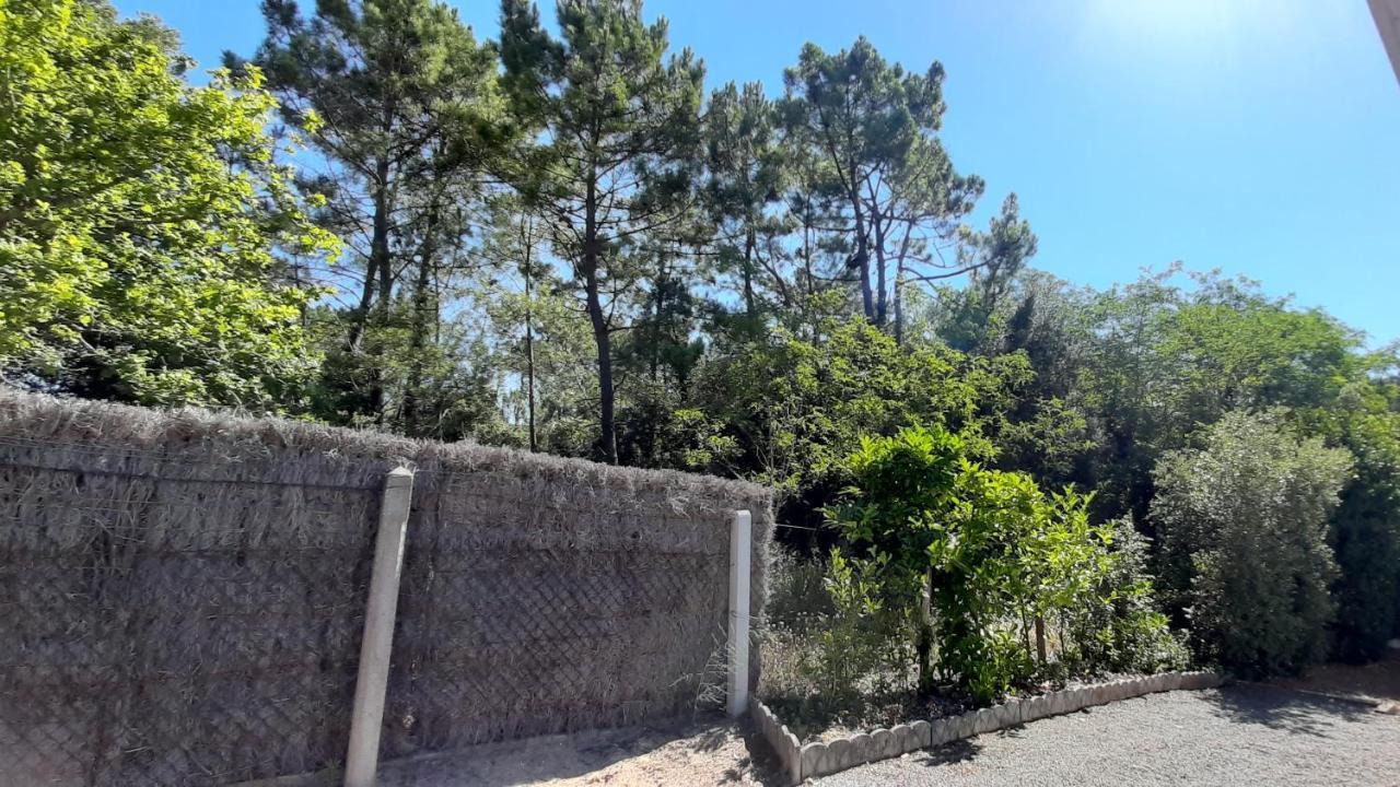 La Foret Des Rossignols - Maison 2 Chambres, Jardin Et Terrasse Saint-Jean-de-Monts Buitenkant foto